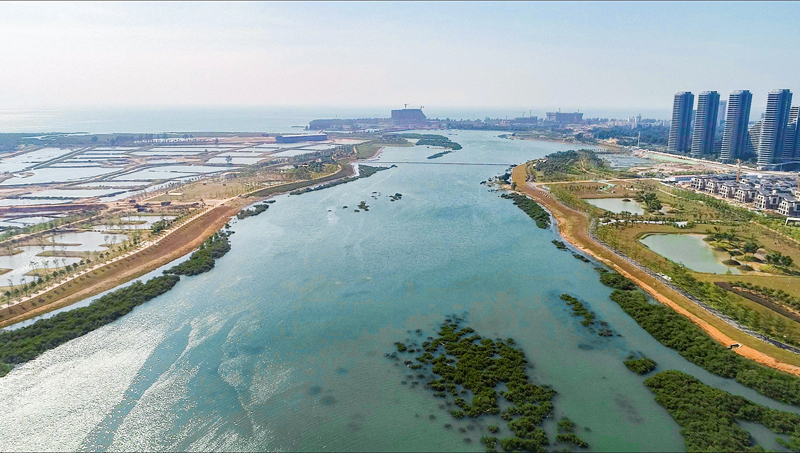 北海湿地公园冯家江图片